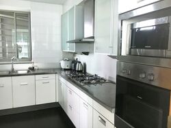 The Light @ Cairnhill (D9), Condominium #593493261